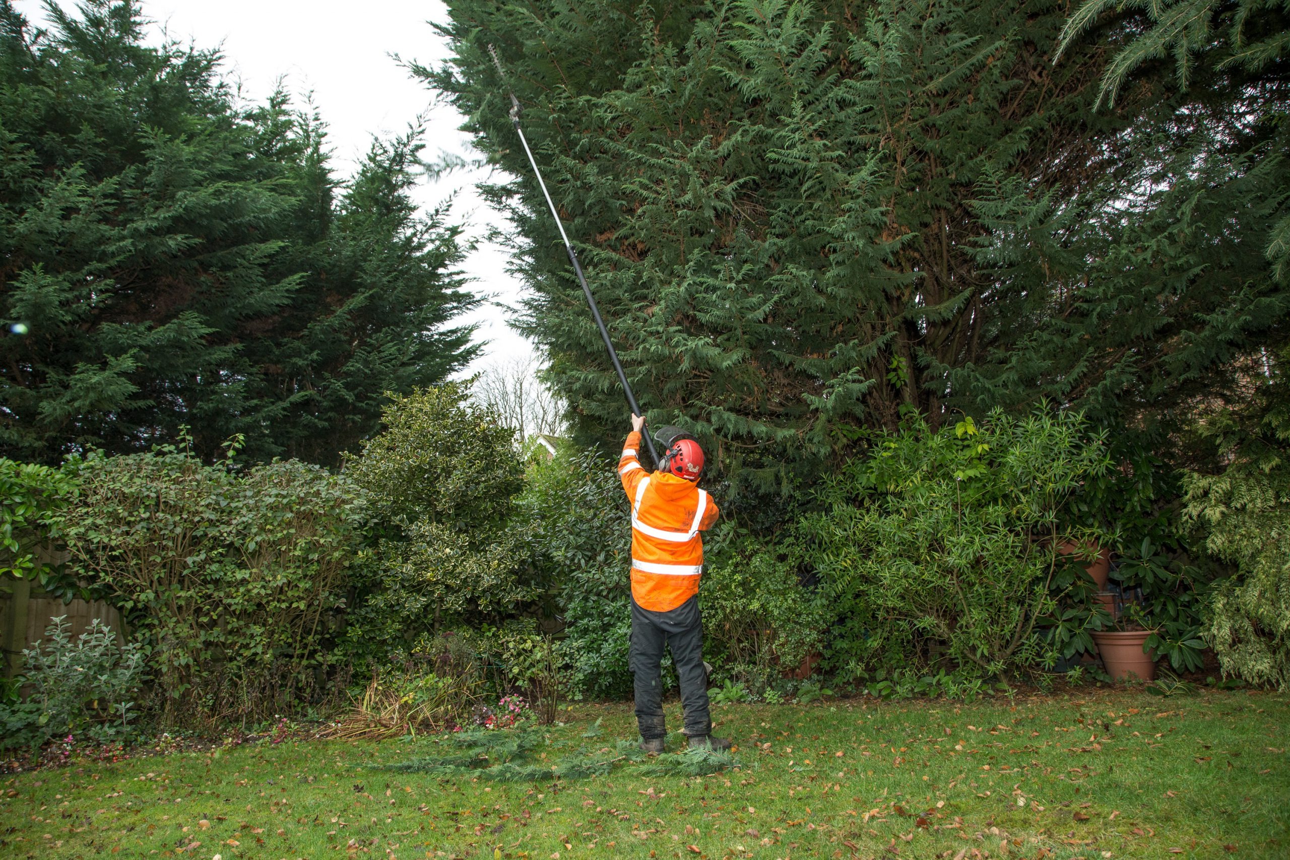 Safe Tree Removal from tree surgeon Heald Green for Homes and Businesses